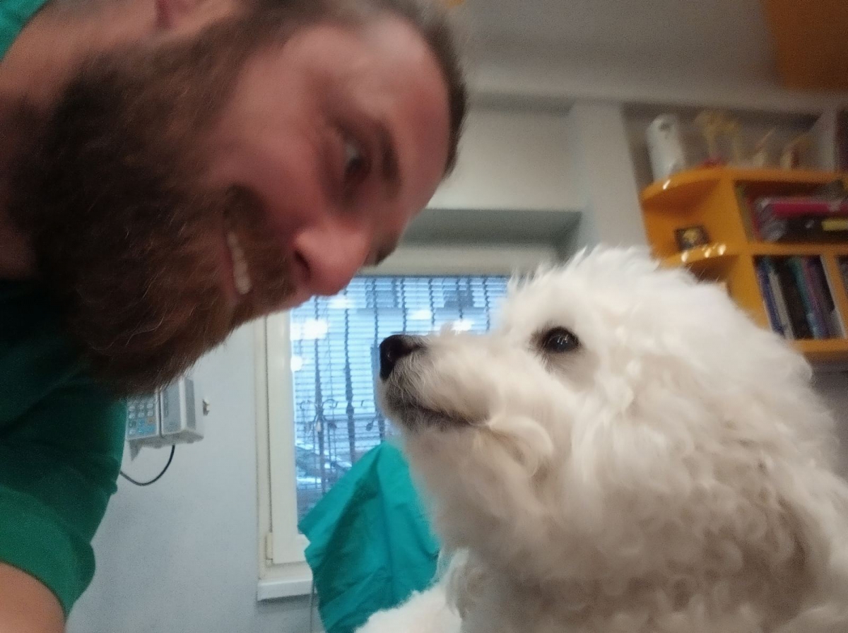 Tea - akutni gastritis - VET24 | DEŽURNI VETERINAR